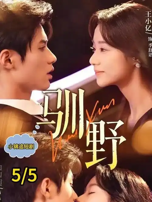 策驰影院在线观看 长安夜航